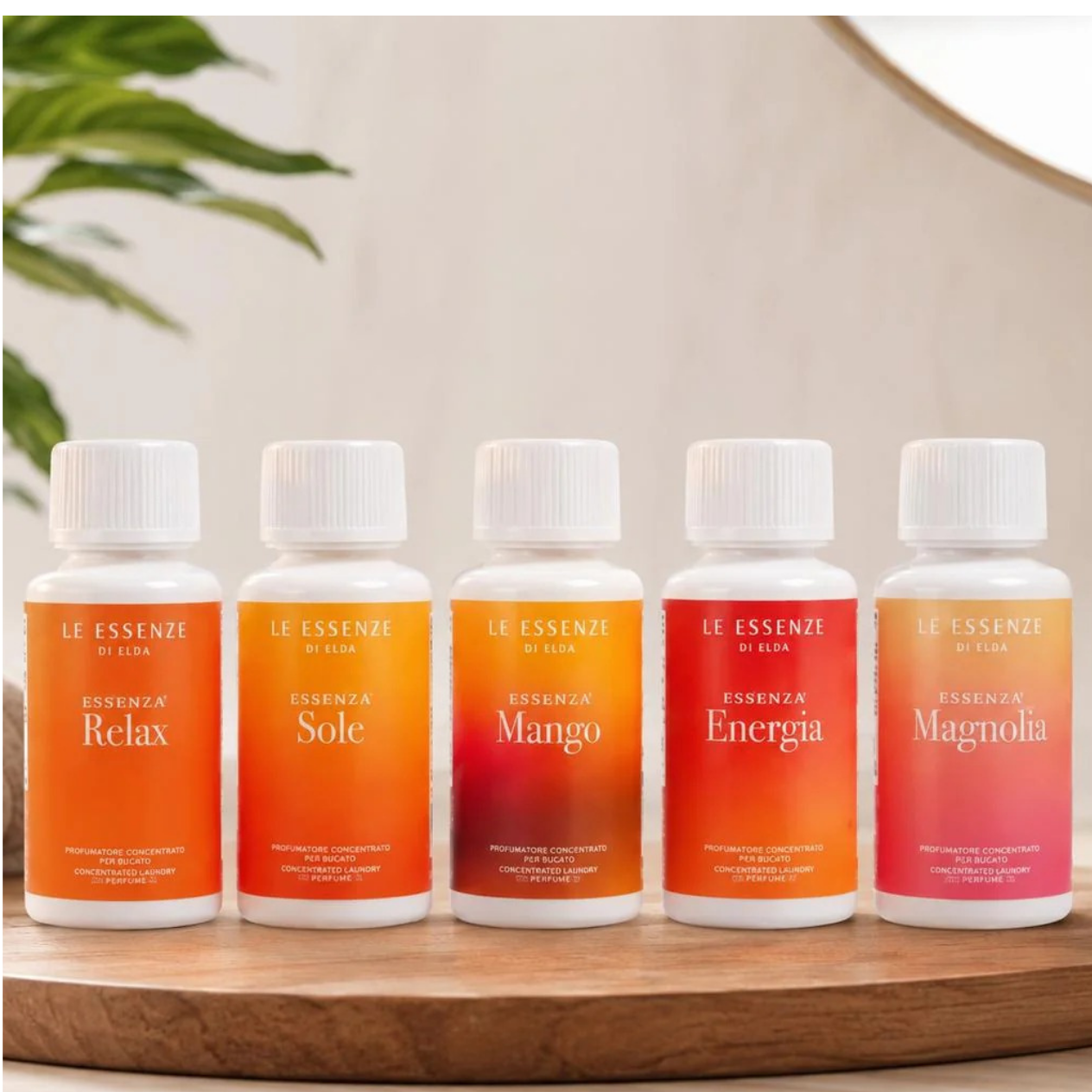 Wasparfum Viva Hollandia Pakket