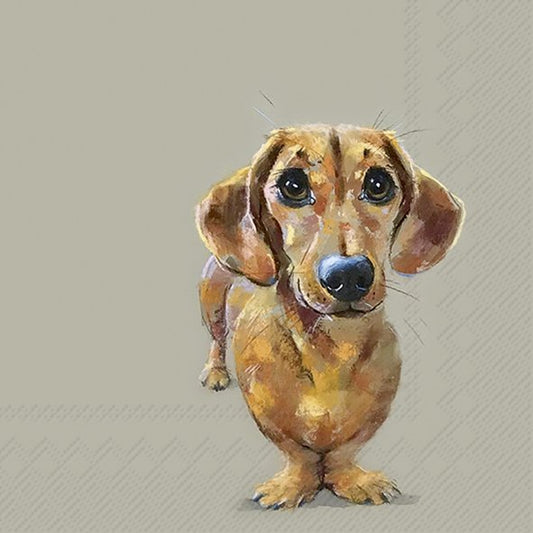 Dog Buddy – Lunch Servetten van IHR