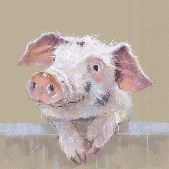 Pig Ruffy – Lunch Servetten van IHR (kopie)