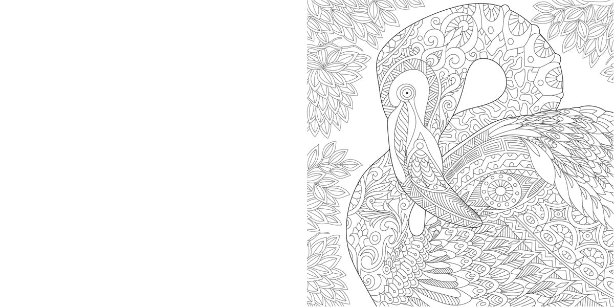 Luxuriöses Mandala-Malbuch | Kreative Entspannung mit wunderschönen Mustern