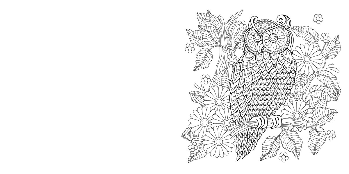 Luxuriöses Mandala-Malbuch | Kreative Entspannung mit wunderschönen Mustern