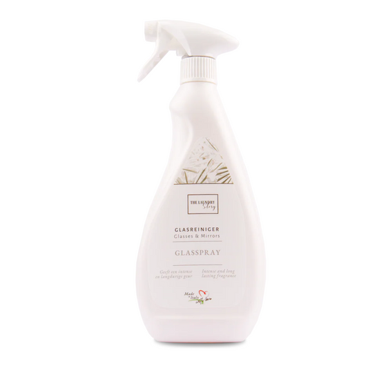 Glasreiniger Spray 750 ml
