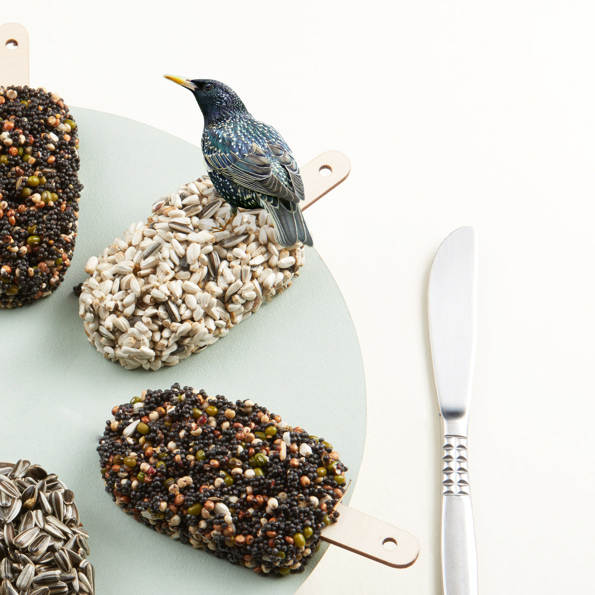 Desert for Birds Double Pack Delicious Red