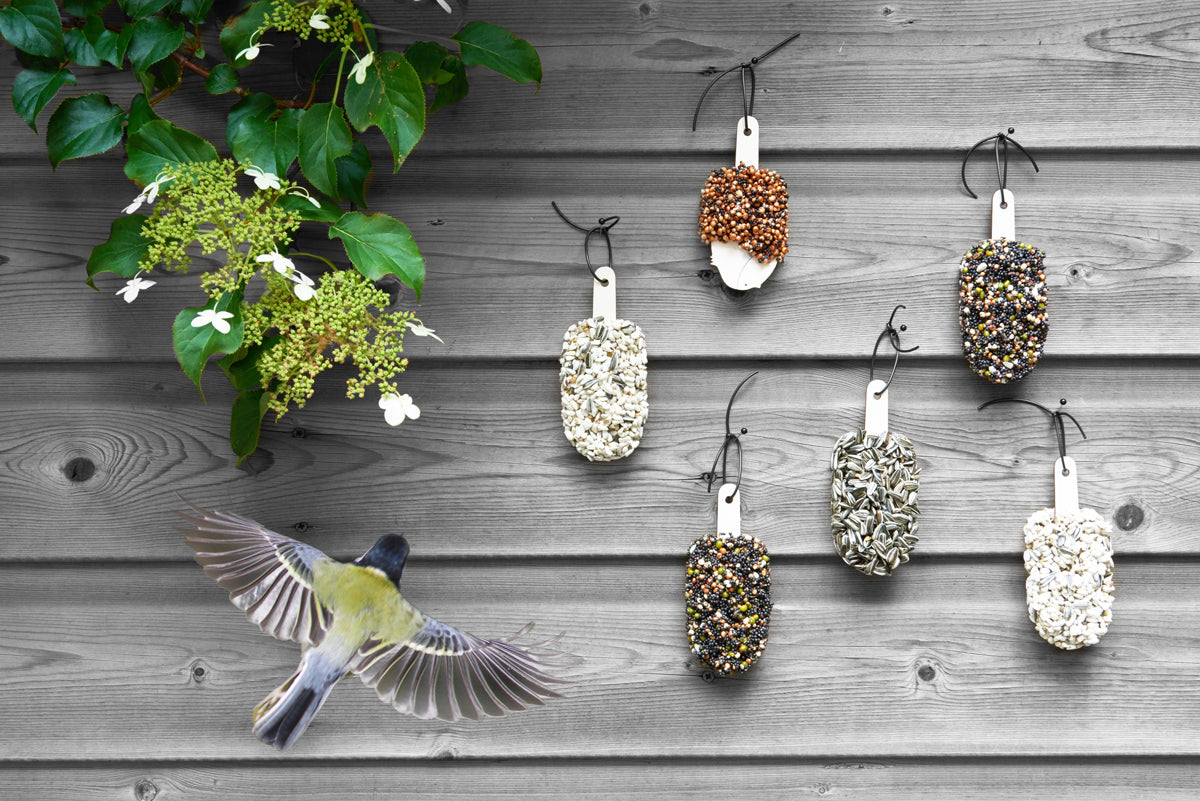Desert for Birds Crunchy Crunchy